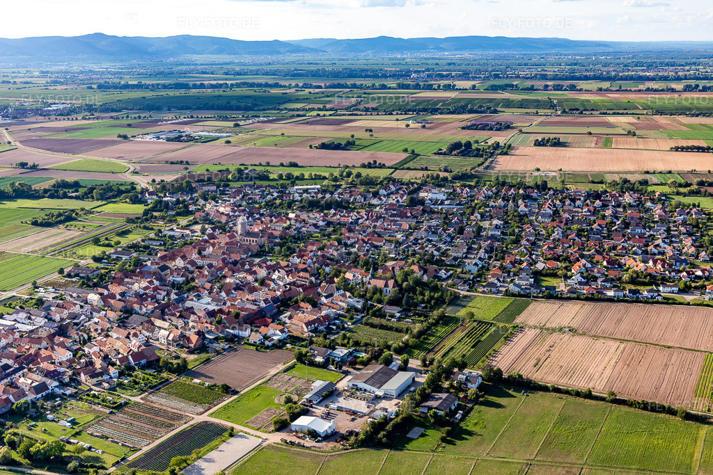 Luftbild: Ortsansicht von Südosten in Zeiskam im Bundesland Rheinland-Pfalz in Deutschland. Foto: IMG_116674.jpg vom 14.08.2019 durch Werner Riehm/FLY-FOTO.de