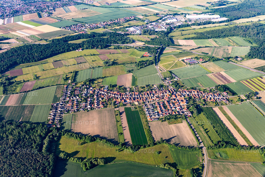 Luftbild: Ortsansicht aus Norden in Erlenbach bei Kandel im Bundesland Rheinland-Pfalz in Deutschland. Foto: IMG_132226.jpg vom 28.05.2022 durch Werner Riehm/FLY-FOTO.de