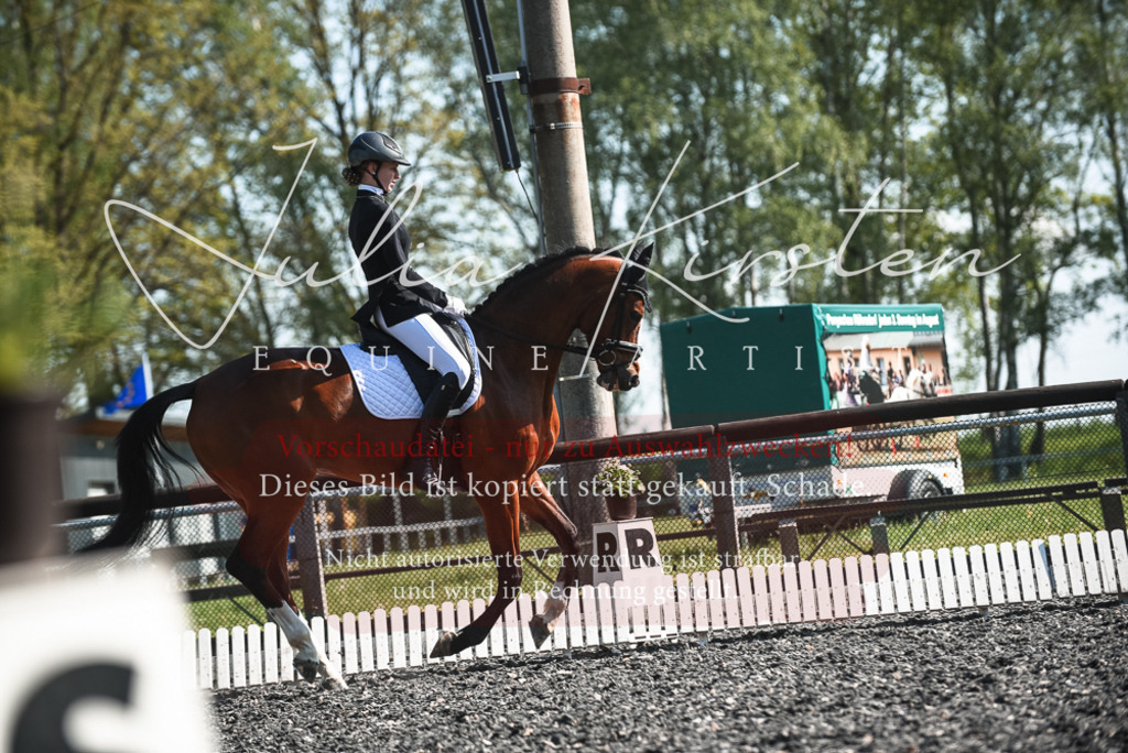 DSC_8680 | Pferde- und Turnierfotografie in Westsachsen. Pferdeportraits, Auftragszeichnungen und intuitive Kunst.