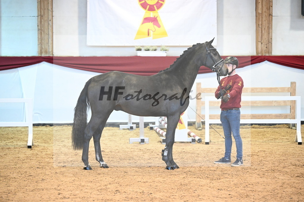 Kat-Nr. 16 Cizero Z x Clinton_Schill_47241132 | hf-fotografie - Realizzato con Pictrs.com