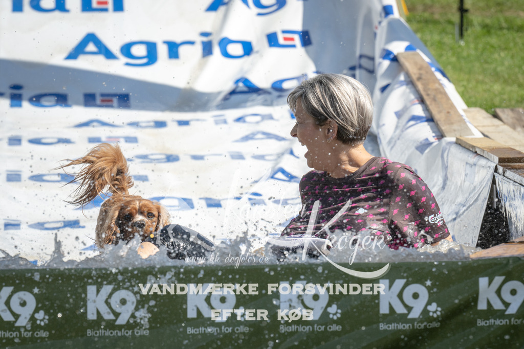 1144_ZZ93697 | kk-dogfotos