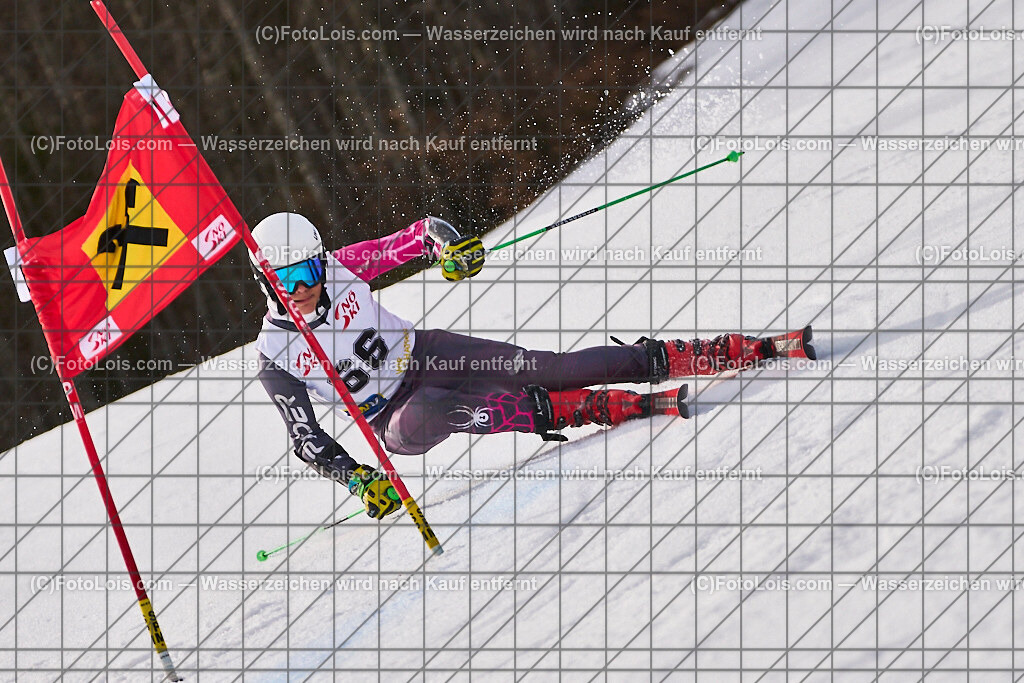 ALP8954_Herrn-FIS-GS-II_Lackenhof-WY_STANG Jakob | Internationaler FIS GiantSlalom der Herrn auf der Distelpiste in Lackenhof am Di 11. März 2025.  Österreich, LSV-NÖ, Sportunion Waidhofen/Ybbs (2035).