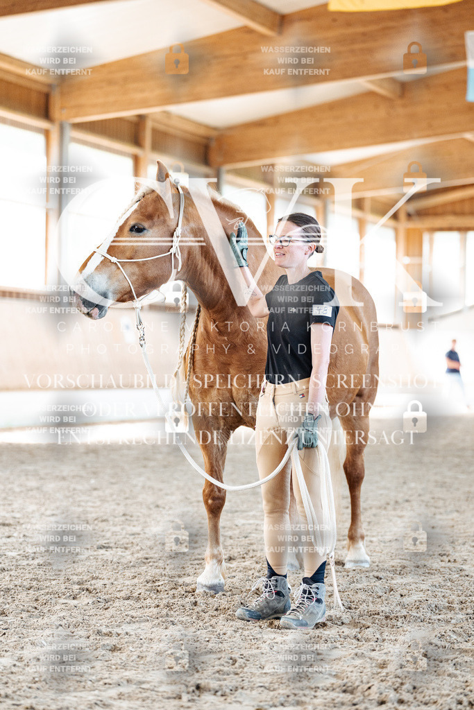 CK906762 | Turnierfotografie Pferdefotografie Trier Rheinland-Pfalz Pferdesport Reitsport Tierfotografie Sportfotografie Pferdevideo Pferdevideografie Equestrianvideography equestrianphotography  - Realisiert mit Pictrs.com