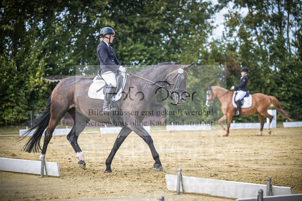 DOS_5361 | Entdecke hochwertige Reitturnierfotos von Foto Oger. Professionell, emotional und authentisch – jetzt Lieblingsmomente im Shop bestellen.Deutschlandweite Turnierfotografie. - Realisiert mit Pictrs.com