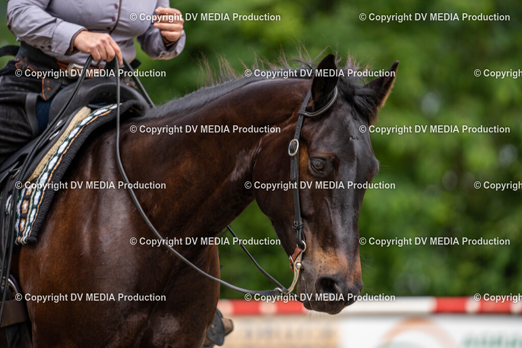 Zeiskam Tag 1-801 | dv-media-shop - Realisiert mit Pictrs.com