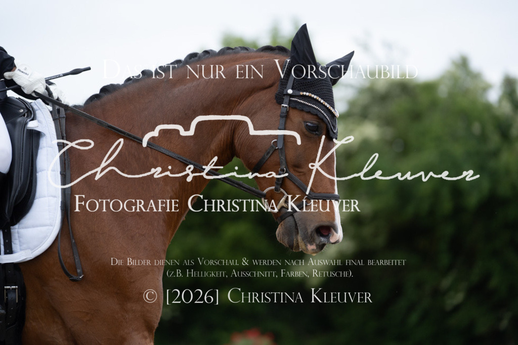 DSC09103 | Christina-Kleuver