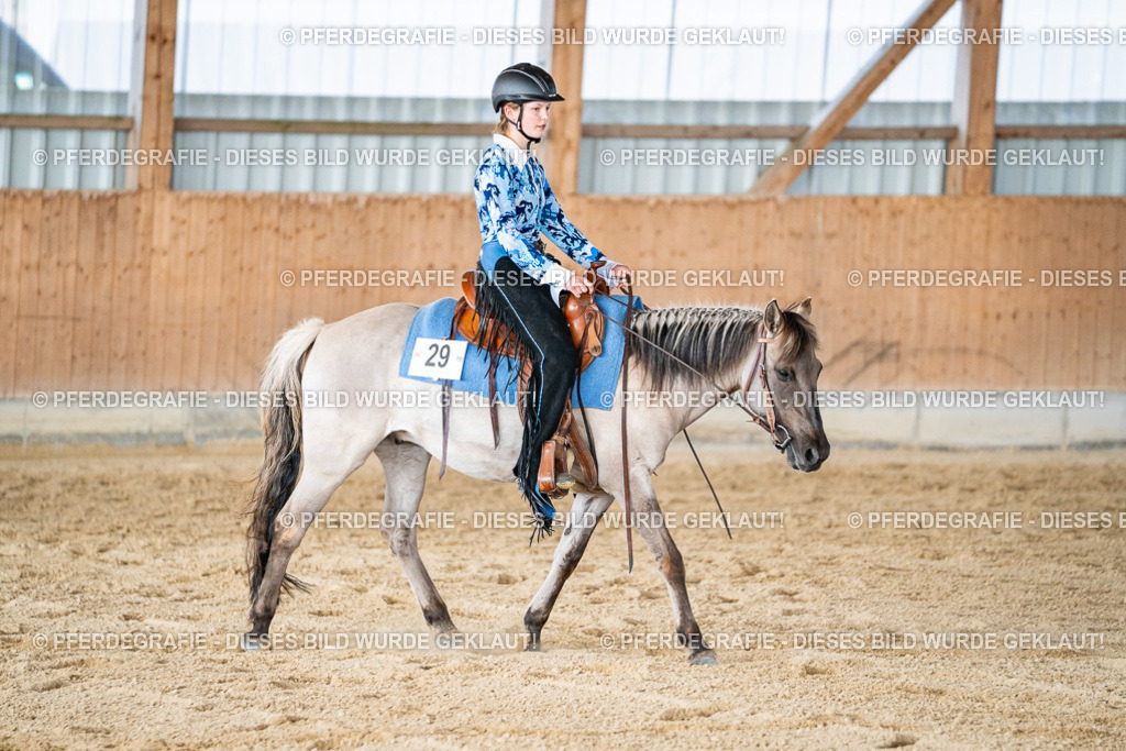 DSC09547 | Pferdegrafie