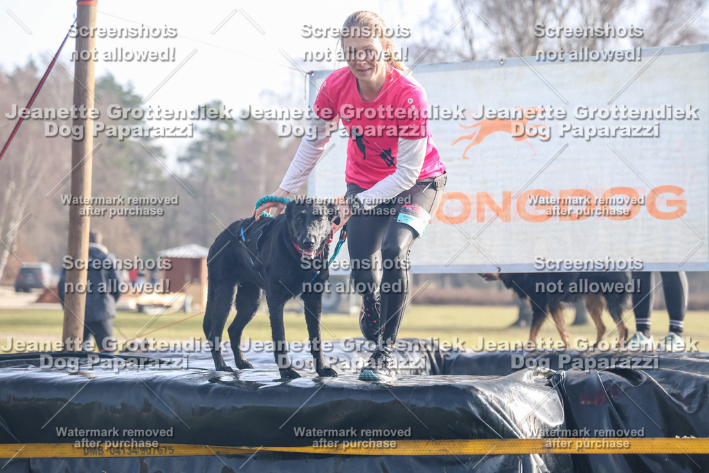Dog Paparazzi - Strongdog North Mrz26-216 | Dog Paparazzi Jeanette Grottendiek Fotografie & Videografie - Realisiert mit Pictrs.com