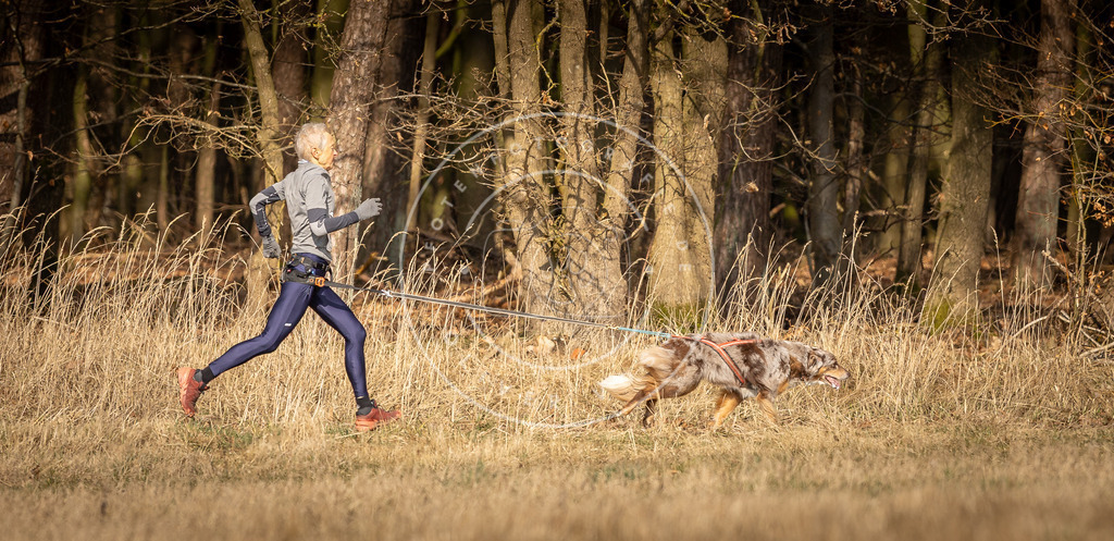 DV3A5432 | Hundefotografie, Tierfotograf, Pfotenfotografie, Fotoshooting Hund, Hunde Portrait, Hundesport, Hundeportraits, Heideshooting, Hunde, Sportfotograf, Hundefotograf, Turnierhundsport, THS,  - Realisiert mit Pictrs.com