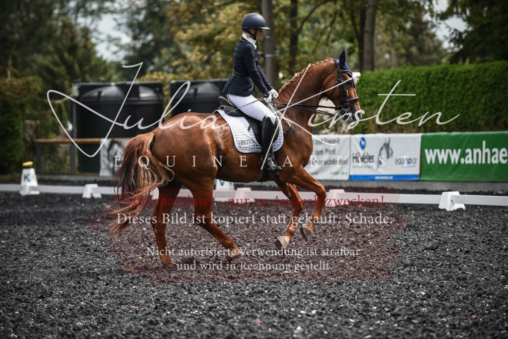 DSC_5044 | Pferde- und Turnierfotografie in Westsachsen. Pferdeportraits, Auftragszeichnungen und intuitive Kunst.
