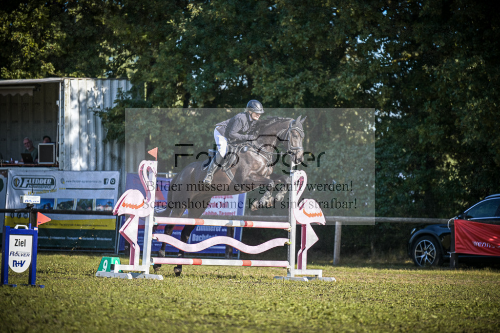 DOS_0343 | Entdecke hochwertige Reitturnierfotos von Foto Oger. Professionell, emotional und authentisch – jetzt Lieblingsmomente im Shop bestellen.Deutschlandweite Turnierfotografie. - Realisiert mit Pictrs.com