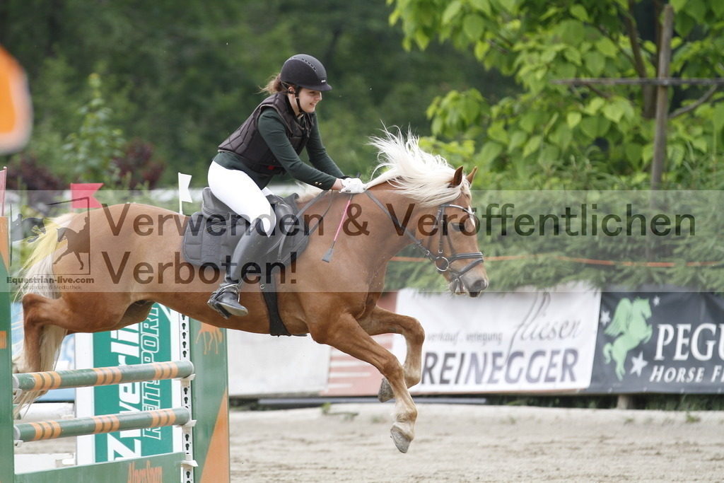 _MG_6469 | equestrian-live-com
