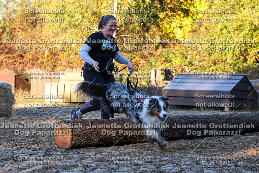 Dog Paparazzi - Strongdog 10-25-631 | Dog Paparazzi Jeanette Grottendiek Fotografie & Videografie - Realisiert mit Pictrs.com