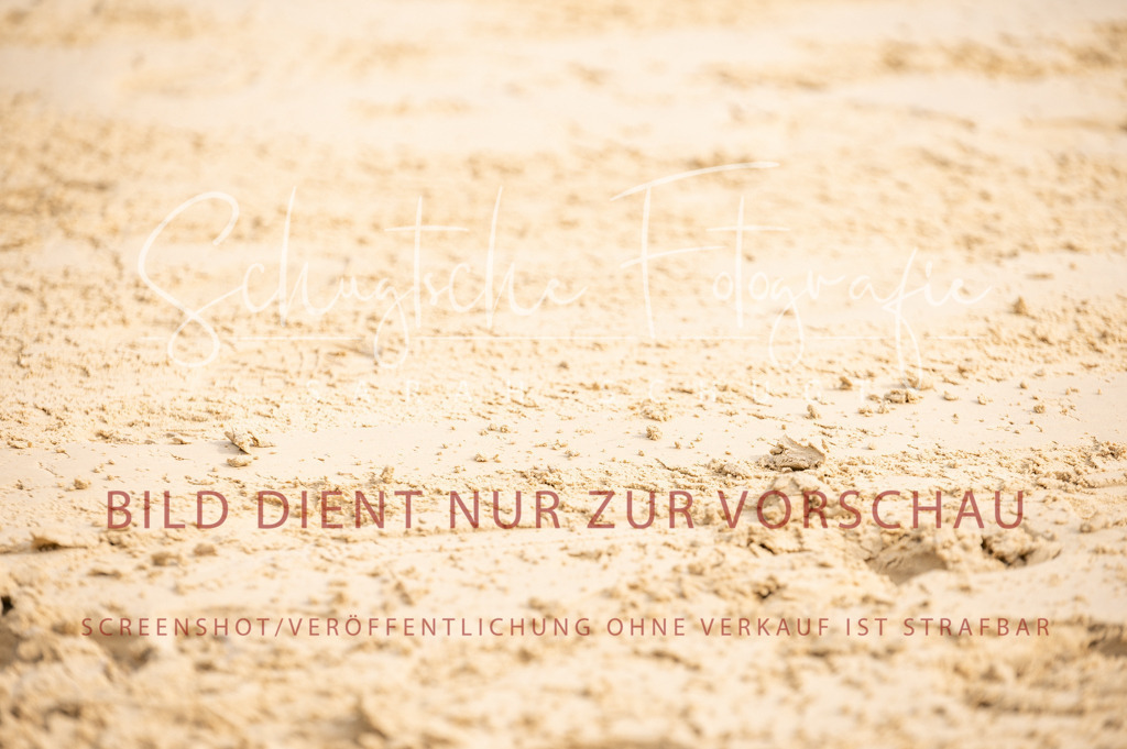 Schugtsche-Aluta25-40.DressurprfA_-179 | Schugtsche Fotografie - Realisiert mit Pictrs.com