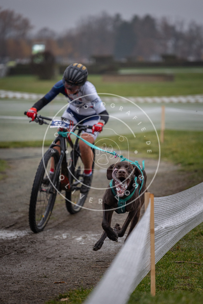 CaniXpix_0L8A1071 | Hundefotografie, Tierfotograf, Pfotenfotografie, Fotoshooting Hund, Hunde Portrait, Hundesport, Hundeportraits, Heideshooting, Hunde, Sportfotograf, Hundefotograf, Turnierhundsport, THS,  - Realisiert mit Pictrs.com