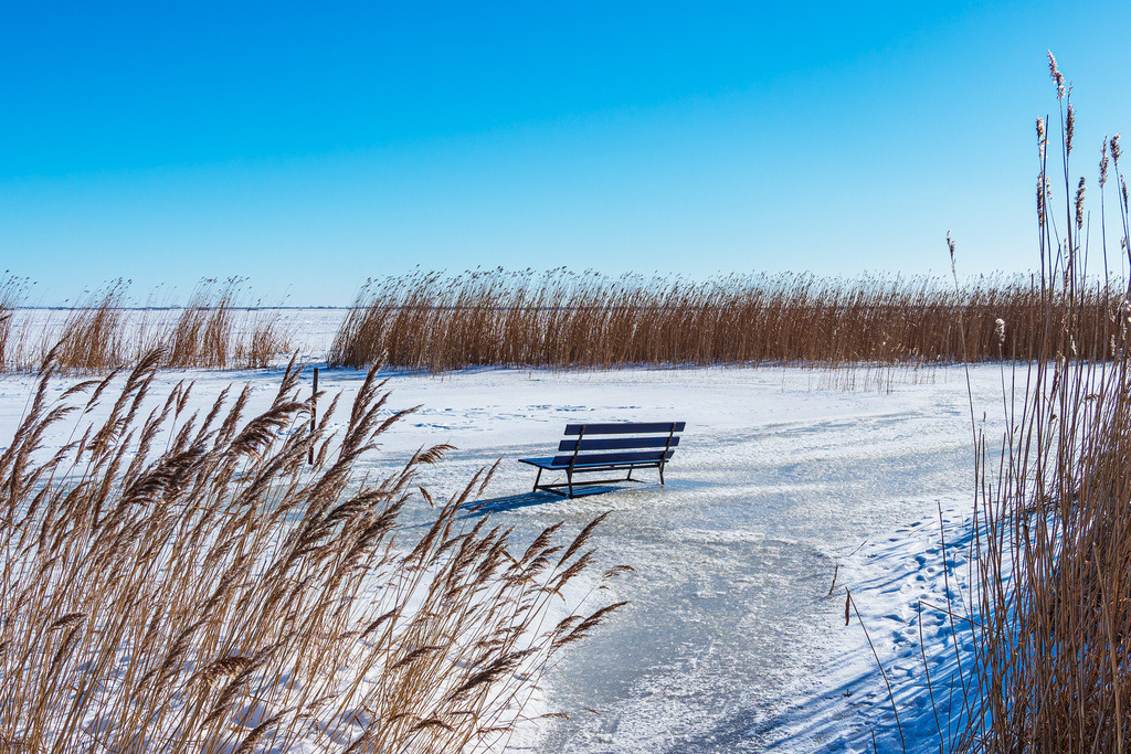 Sitzbank am Bodden bei Ahrenshoop auf dem Fischland-Darß im Winter | Sitzbank am Bodden bei Ahrenshoop auf dem Fischland-Darß im Winter.