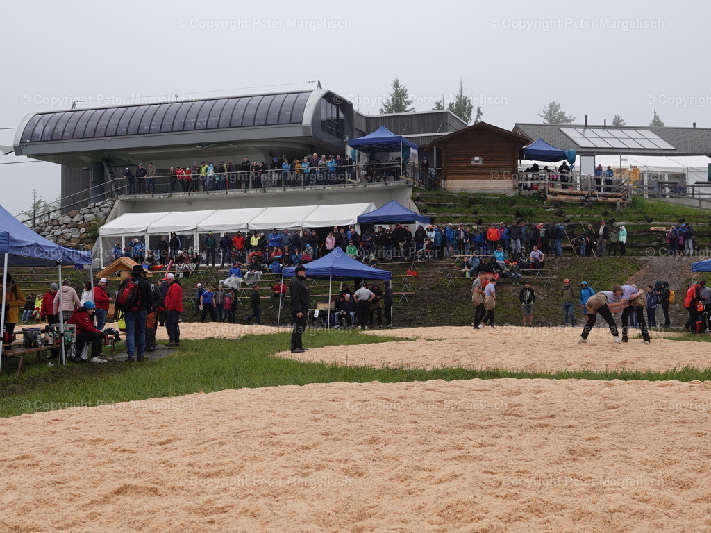 DSC07856 | Schwingen - Realisiert mit Pictrs.com