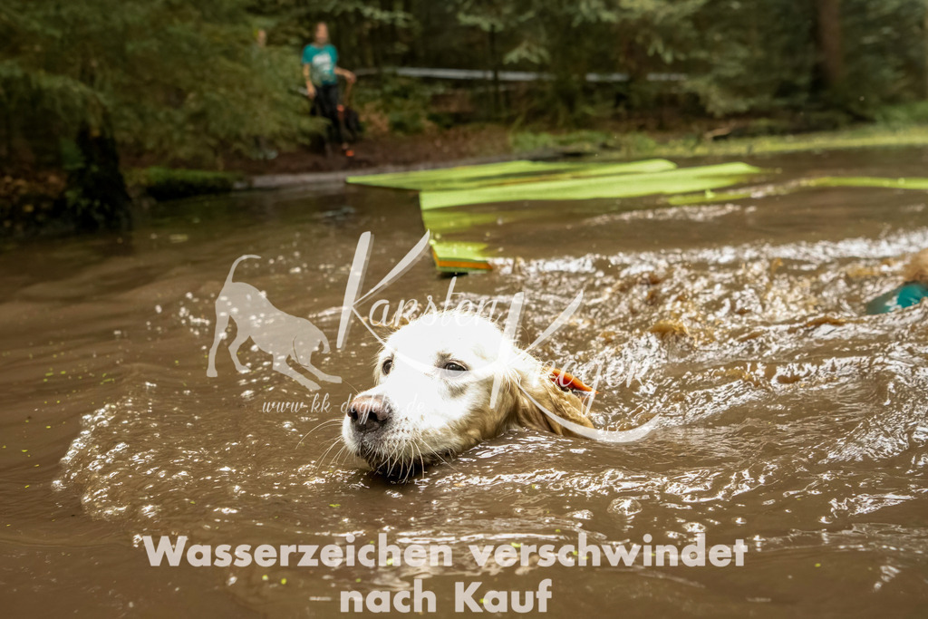 1207_ZZ92713-Bearbeitet | kk-dogfotos