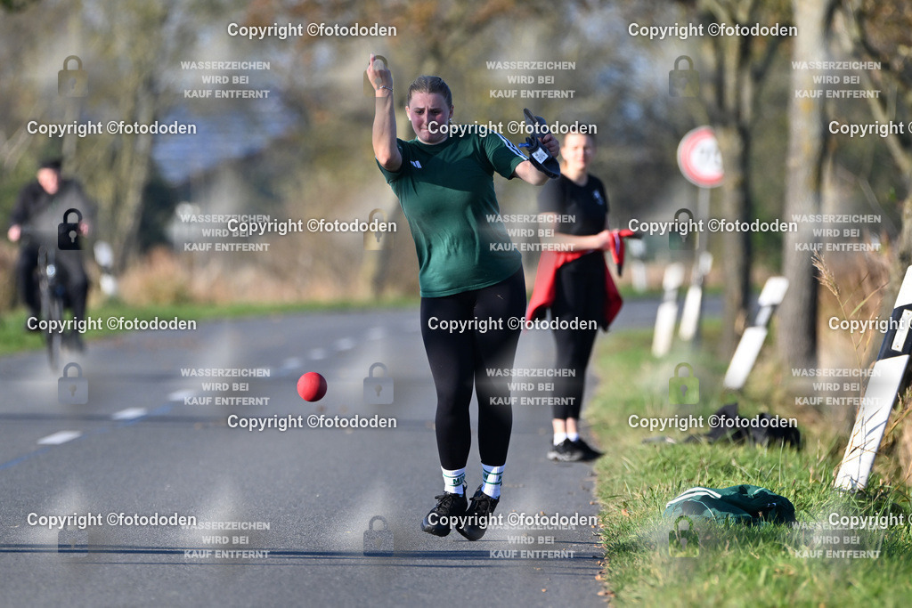 DSC_3121 | Tomke Ripken / Utarp-Schweindorf