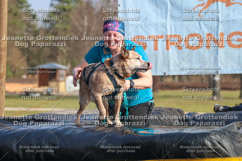 Dog Paparazzi - Strongdog North Mrz26-2853 | Dog Paparazzi Jeanette Grottendiek Fotografie & Videografie - Realisiert mit Pictrs.com