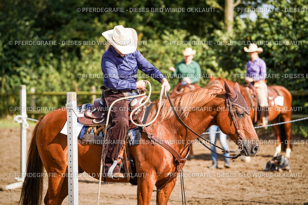 DSC00331 | Pferdegrafie