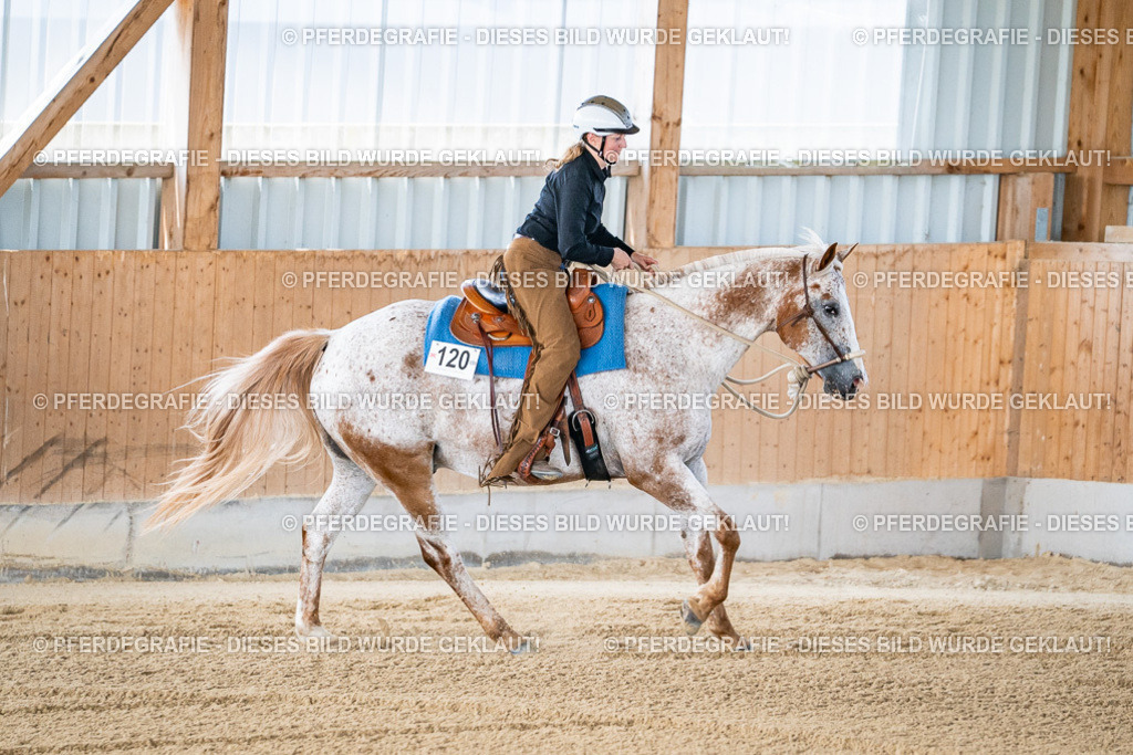 DSC01906 | Pferdegrafie