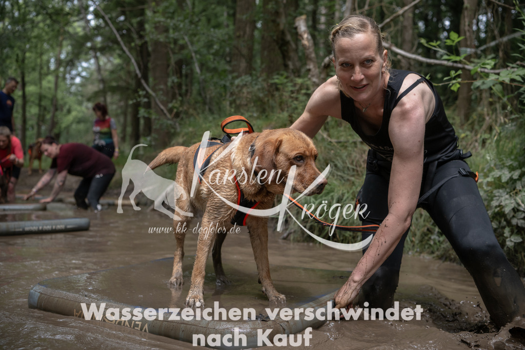 1334_ZZ94634 | kk-dogfotos