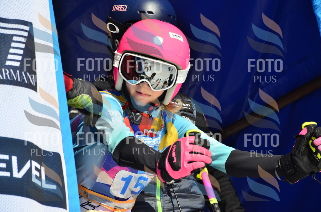 _ELE1027 | holidayphoto