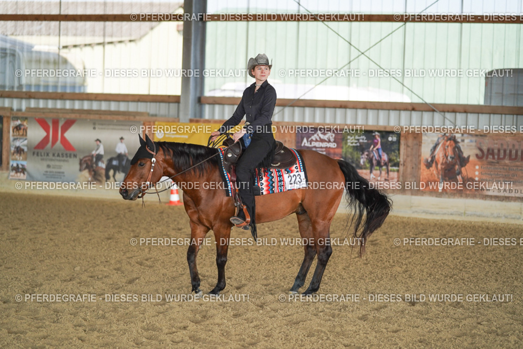 DSC09632 | Pferdegrafie