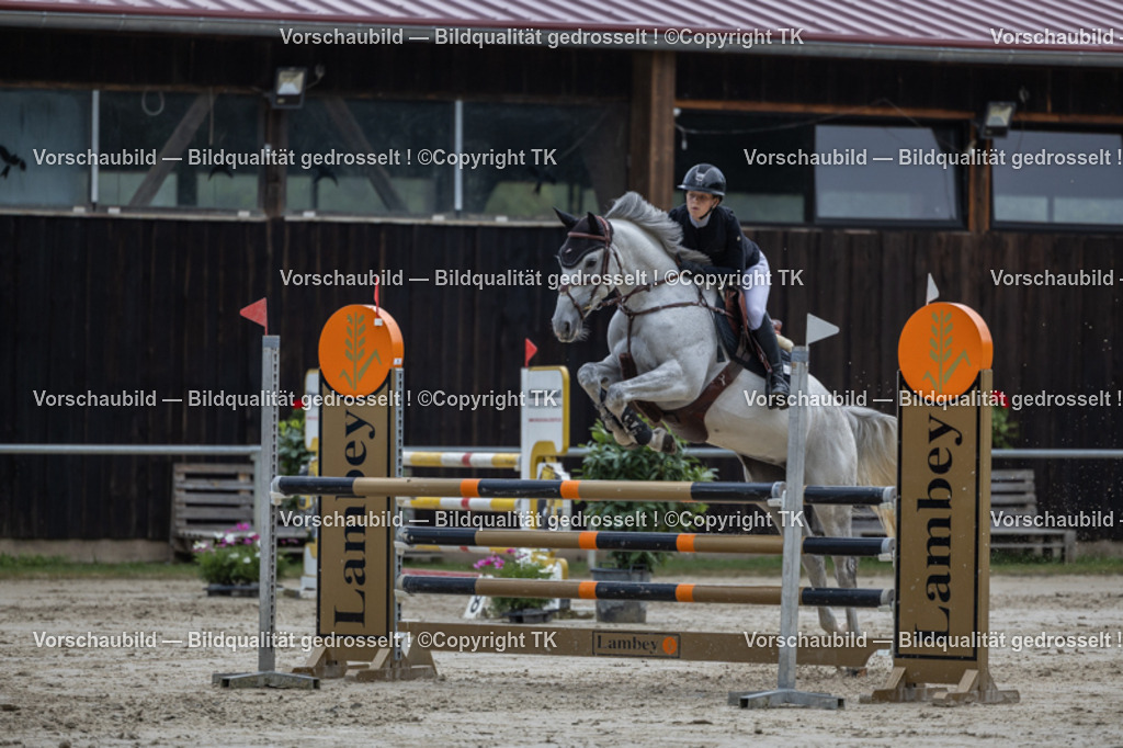 _D5A7933 | Emotionale Pferde- & People-Fotografie rund um Heidelberg, Leimen & Umgebung. Natürliche Fotos von Pferd, Mensch & Familie. Jetzt Termin sichern!