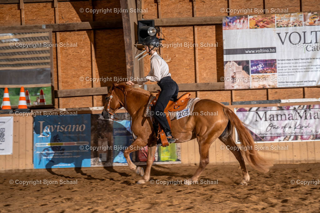 LMS00699 | BS-foto