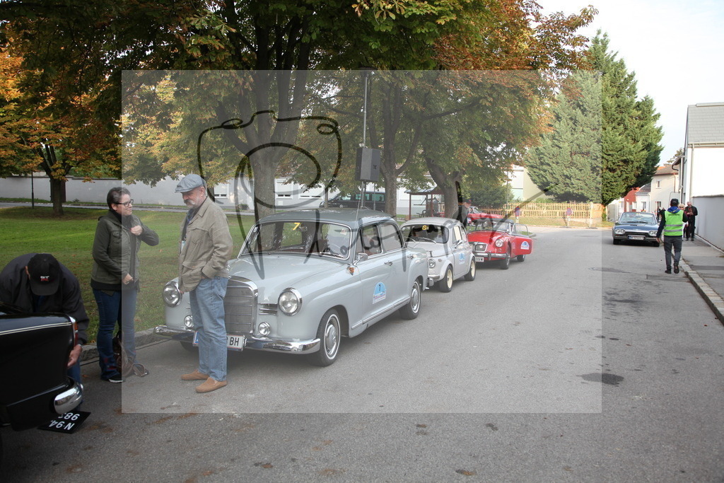 IMG_1217 | Gerhard Witt