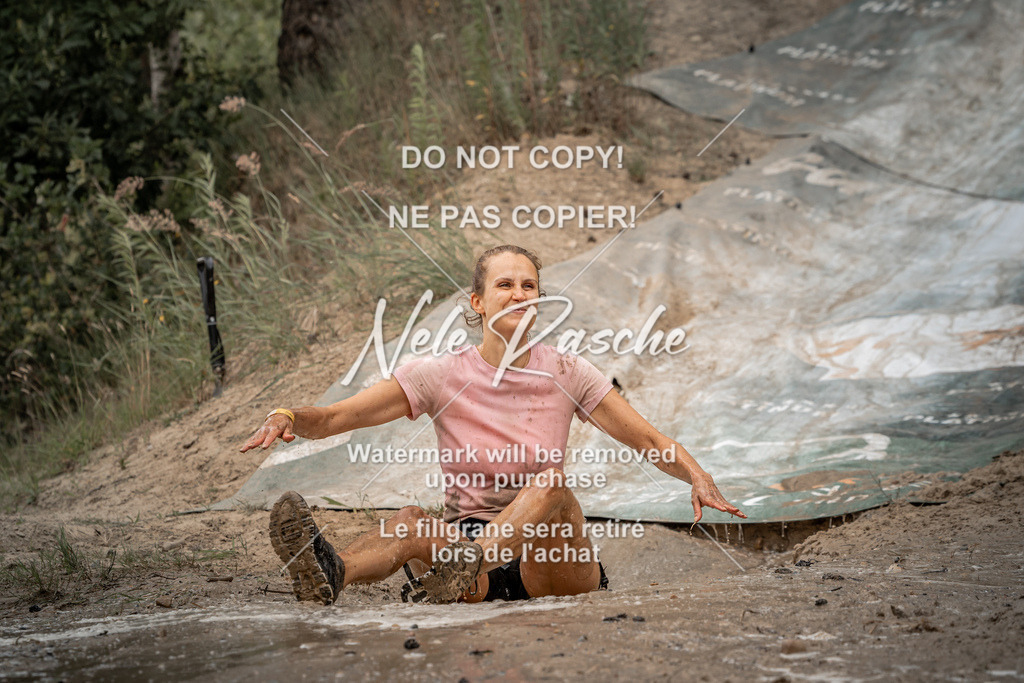 nelerasche_sa1430-1500_194 | nelerasche