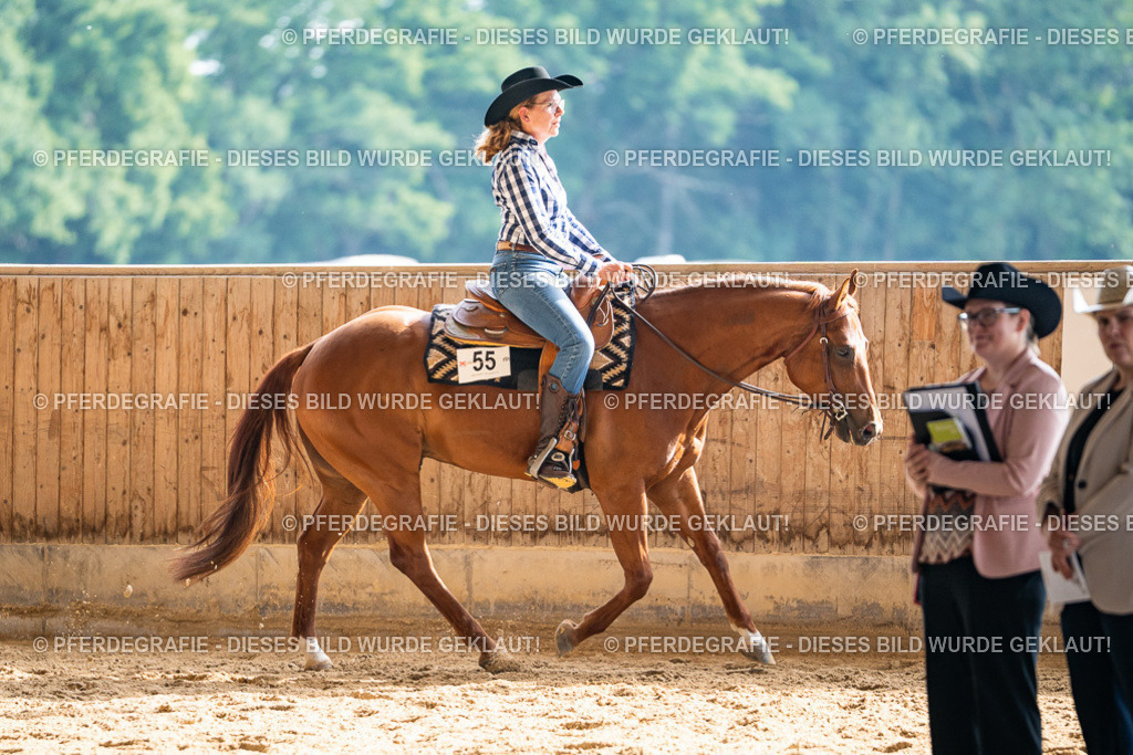 DSC08219 | Pferdegrafie