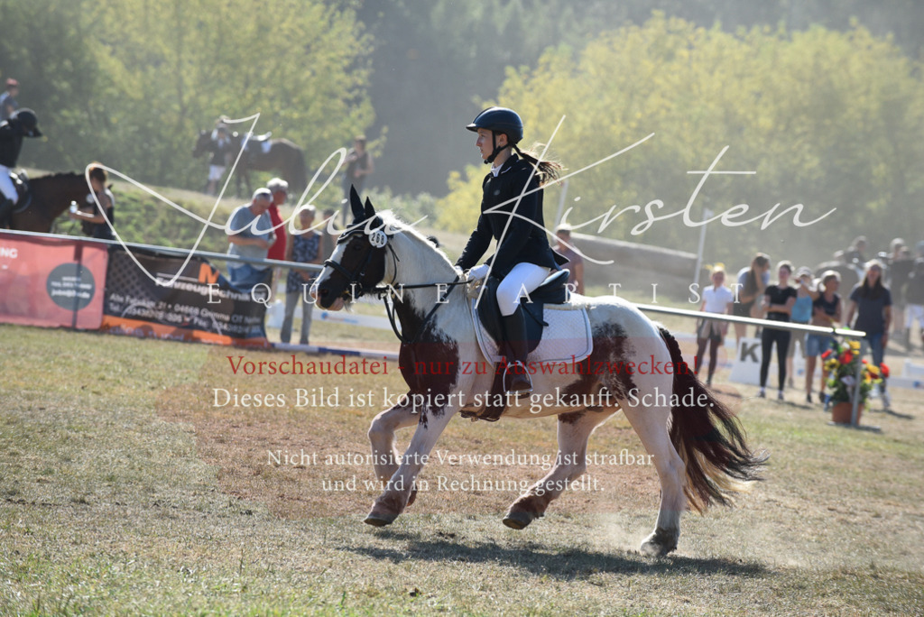 DSC_6088 | Pferde- und Turnierfotografie in Westsachsen. Pferdeportraits, Auftragszeichnungen und intuitive Kunst.