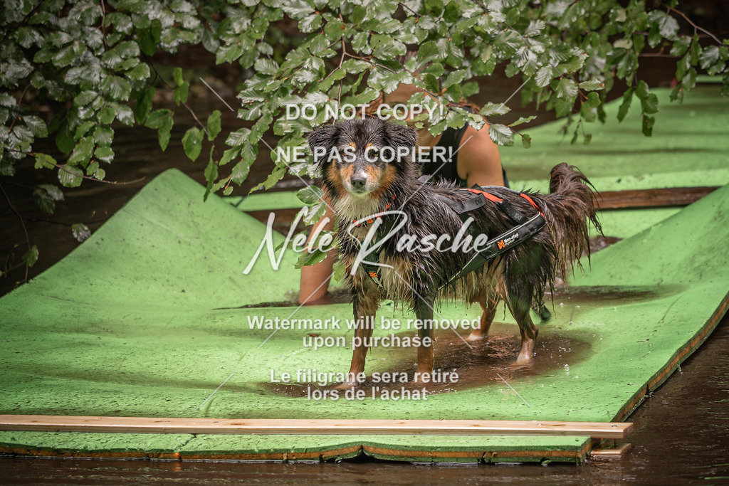 nelerasche_Wingst_Sa1330-1400_345 | nelerasche