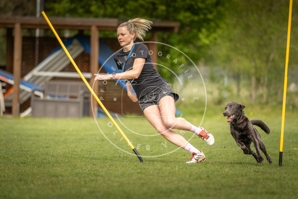 Pfotenfotografie_DV3A5366 | Hundefotografie, Tierfotograf, Pfotenfotografie, Fotoshooting Hund, Hunde Portrait, Hundesport, Hundeportraits, Heideshooting, Hunde, Sportfotograf, Hundefotograf, Turnierhundsport, THS,  - Realisiert mit Pictrs.com