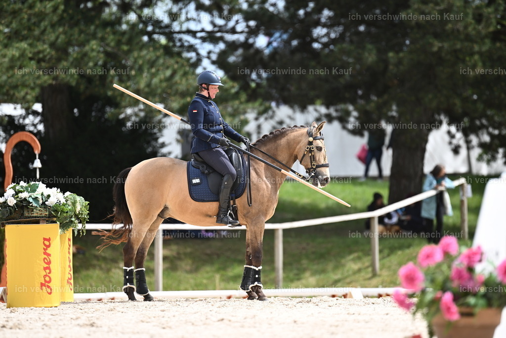 PI26_ST_Sara_Landvogt226_3570.JPG | working equitationturnier fotograf videograf stoibphotography marixx film working equitation deutschland reitsport turnierfotografie eventfotografie equestrian events
