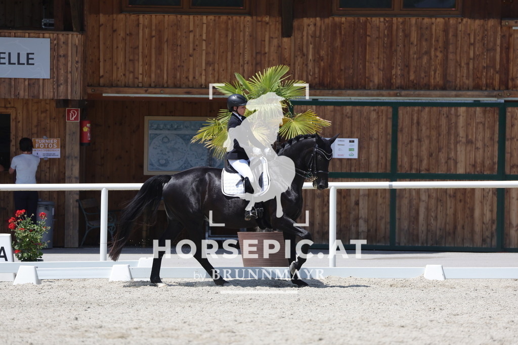 0P6A5467 | Willkommen bei Brunnmayr - Design & Fotografie – Ihrem Spezialisten für Reitturniere und Pferdeveranstaltungen in Oberösterreich, Salzburg und Bayern! Seit über 17 Jahren sind wir leidenschaftlich dabei.