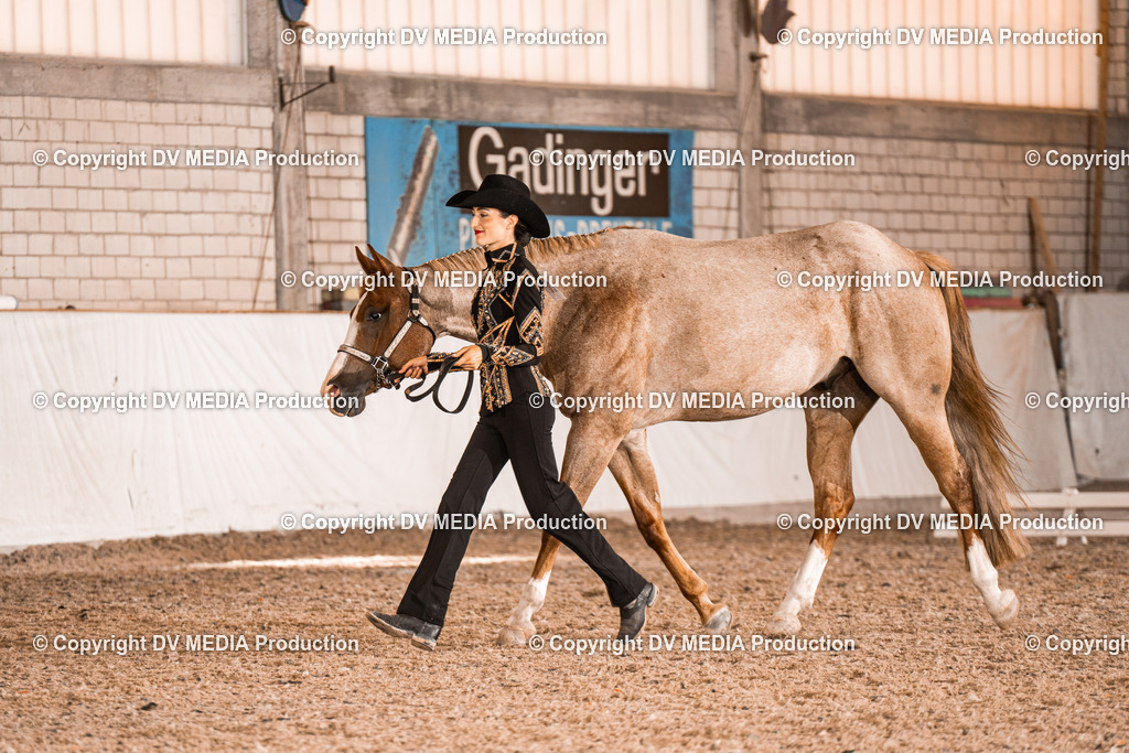 ZH200263 | dv-media-shop - Realisiert mit Pictrs.com