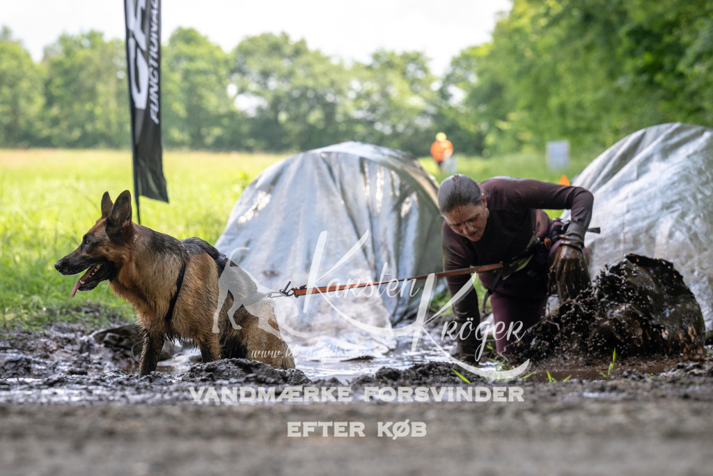 1207_ZZ91447 | kk-dogfotos