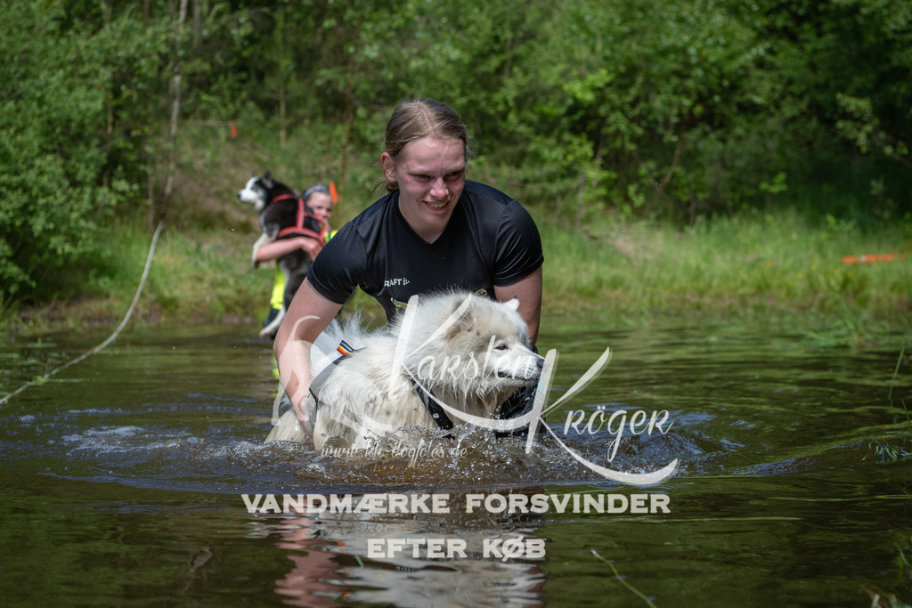 1139DKK990765 | kk-dogfotos