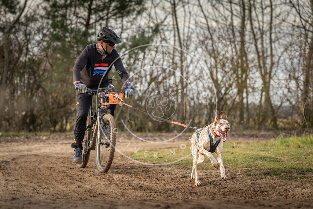 Pfotenfotografie_DV3A8323 | Hundefotografie, Tierfotograf, Pfotenfotografie, Fotoshooting Hund, Hunde Portrait, Hundesport, Hundeportraits, Heideshooting, Hunde, Sportfotograf, Hundefotograf, Turnierhundsport, THS,  - Realisiert mit Pictrs.com