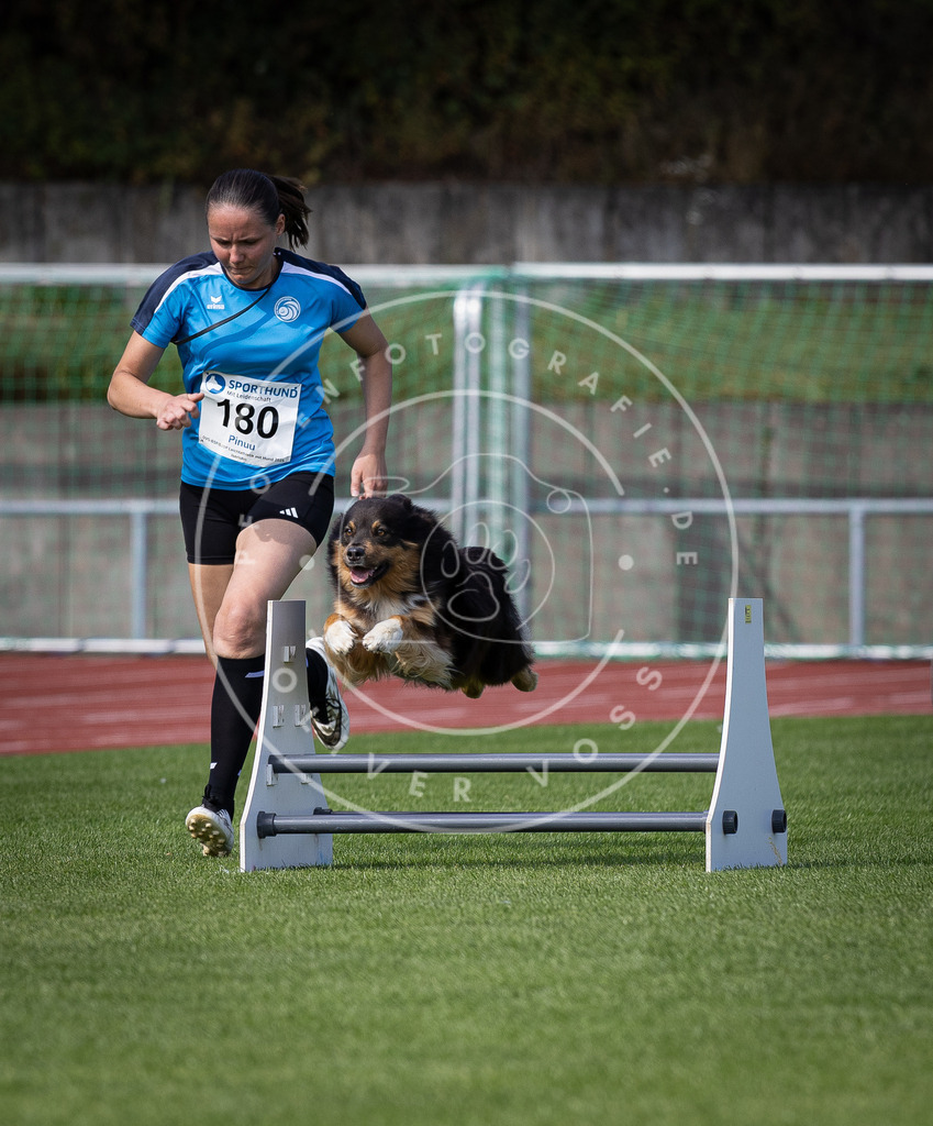 Pfotenfotografie_DV3A0242 | Hundefotografie, Tierfotograf, Pfotenfotografie, Fotoshooting Hund, Hunde Portrait, Hundesport, Hundeportraits, Heideshooting, Hunde, Sportfotograf, Hundefotograf, Turnierhundsport, THS,  - Realisiert mit Pictrs.com