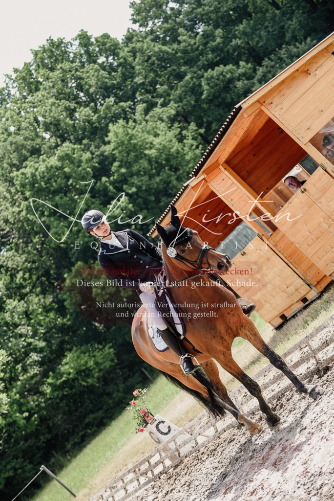 DSC_0914 | Pferde- und Turnierfotografie in Westsachsen. Pferdeportraits, Auftragszeichnungen und intuitive Kunst.