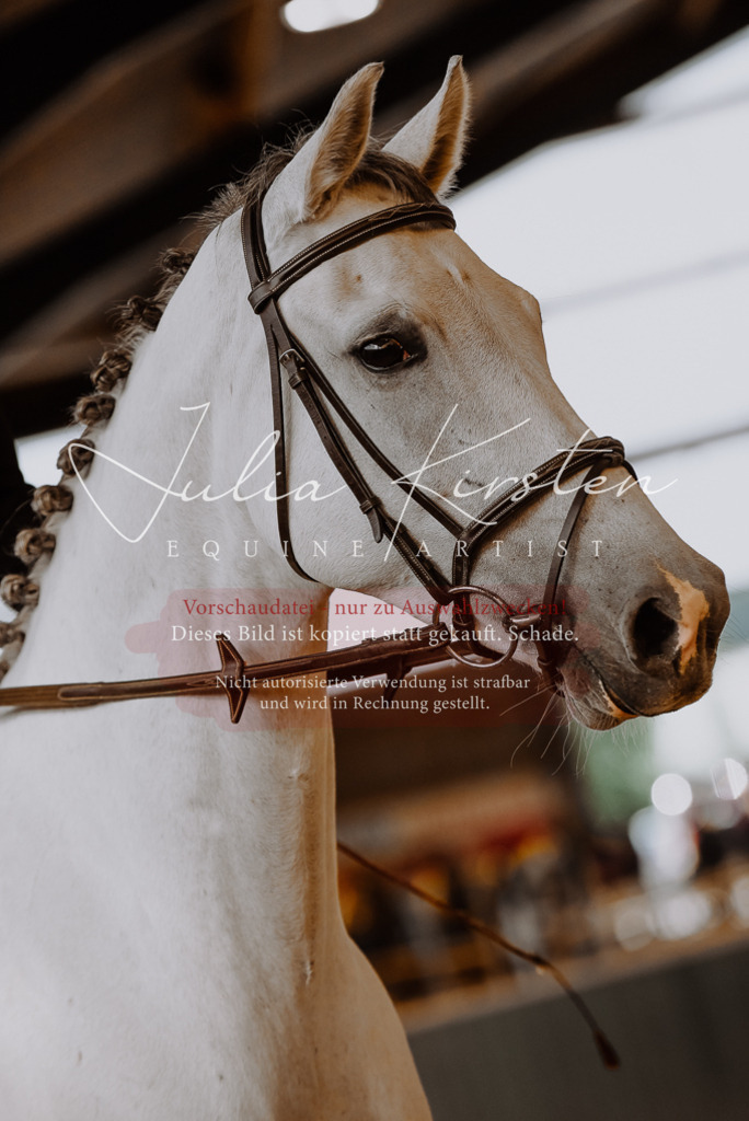 DSC_7415 | Pferde- und Turnierfotografie in Westsachsen. Pferdeportraits, Auftragszeichnungen und intuitive Kunst.