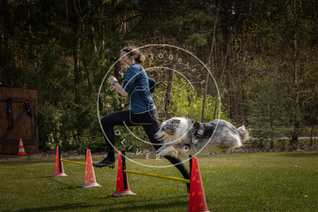 Pfotenfotografie_DV3A3398 | Hundefotografie, Tierfotograf, Pfotenfotografie, Fotoshooting Hund, Hunde Portrait, Hundesport, Hundeportraits, Heideshooting, Hunde, Sportfotograf, Hundefotograf, Turnierhundsport, THS,  - Realisiert mit Pictrs.com