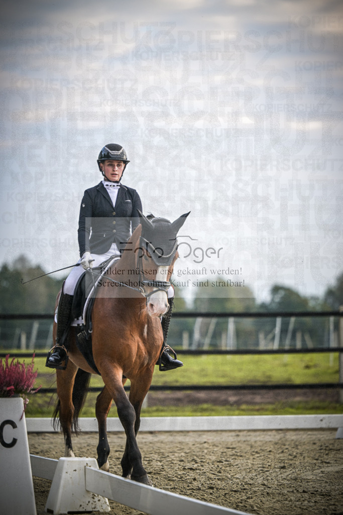 DOS_4104 | Entdecke hochwertige Reitturnierfotos von Foto Oger. Professionell, emotional und authentisch – jetzt Lieblingsmomente im Shop bestellen.Deutschlandweite Turnierfotografie. - Realisiert mit Pictrs.com