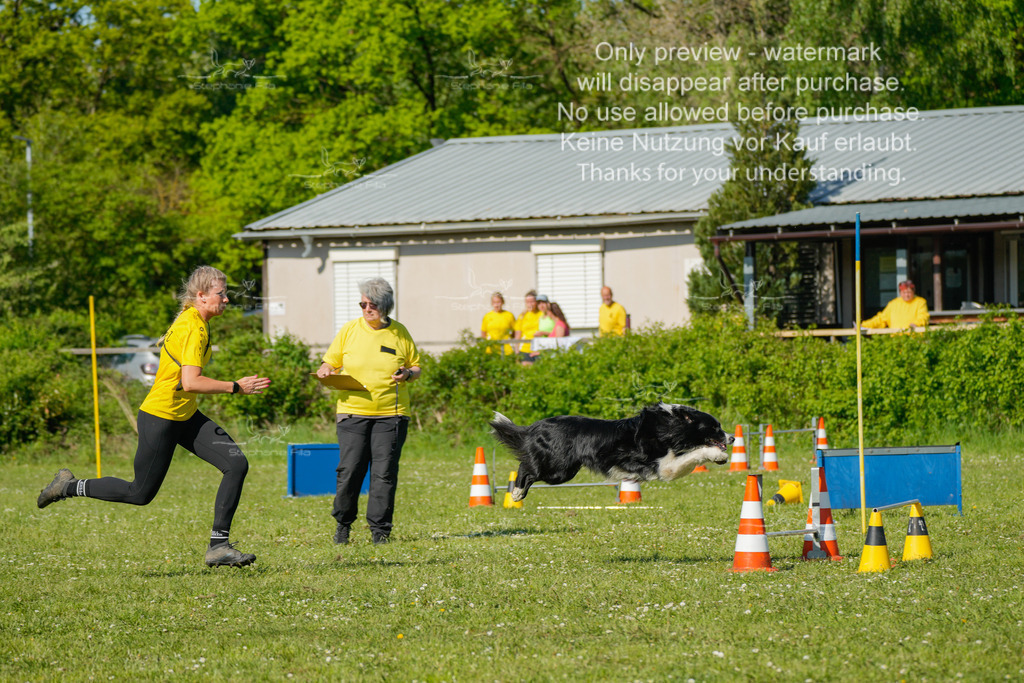 Sa_CSC-210 | stephaniefillaphotographie - Realisiert mit Pictrs.com