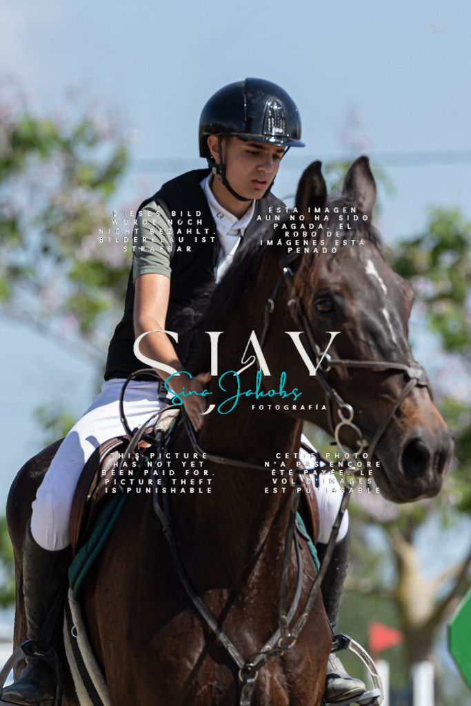 IMG_0704 | s-jay-photography - Realisiert mit Pictrs.com